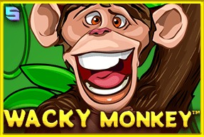 Real Money Casino Games at Nine Win Casino